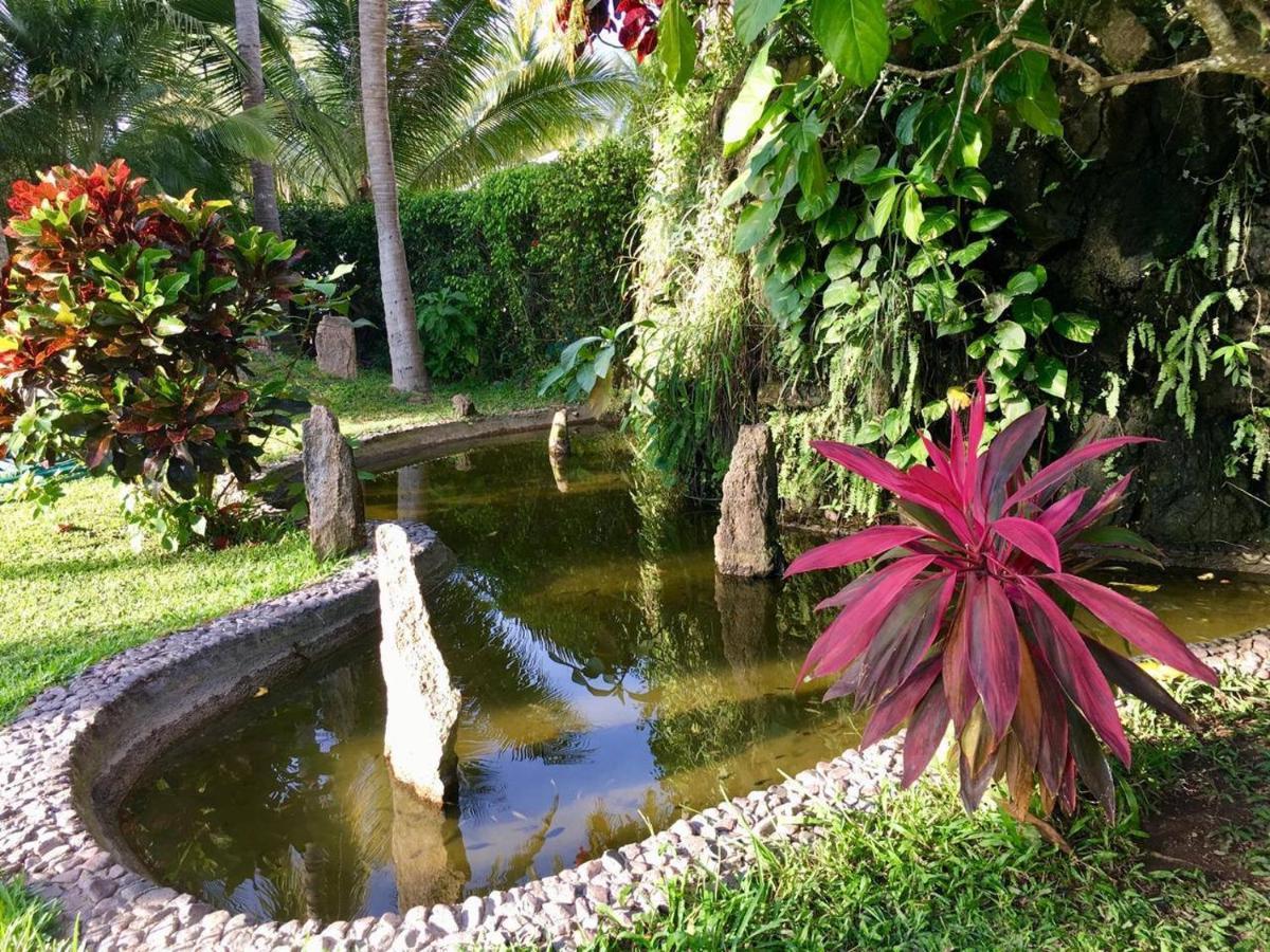 Villas Paraiso Manzanillo,Club Santiago Casa Playa エクステリア 写真